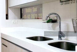 The Quartz (D19), Condominium #152977502